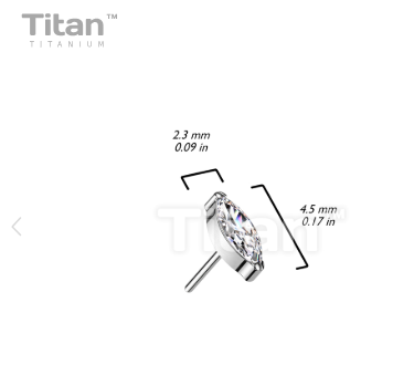 The Starlit Marquise