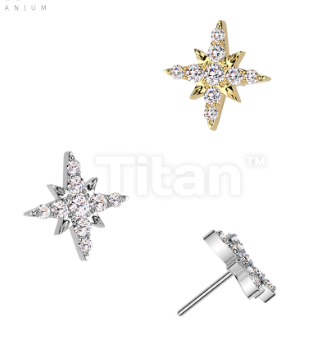 The Star-Crossed Stud + Flatback Post